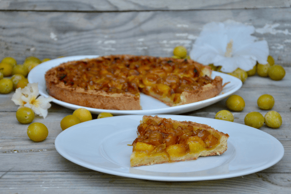 faut il décongeler les mirabelles pour faire une tarte