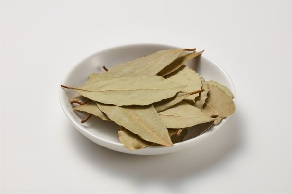 astuce avec des feuilles de laurier