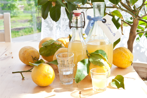 recette limoncello maison