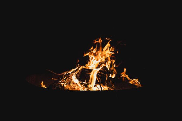 Faire des réserves de bois pour l’hiver