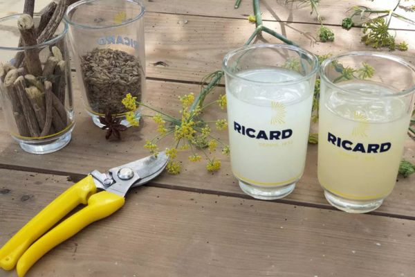 dosage ricard